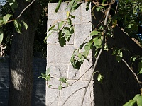 K01A0093