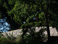 K01A0165