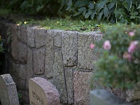 K01A0198