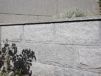 NT0A5592