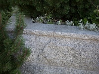 NT0A5660