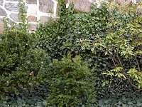 FV4A0180