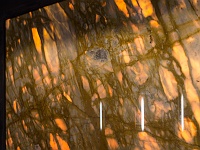 K01A6499